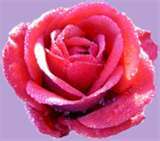 Date this passionate Haiti girl Lucie from P-au-p HT2