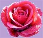 georgeous Haiti girl  from P-au-p HT2