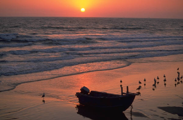 Date this georgeous Dominican Republic man Babyboom from Santo Domingo DO2723