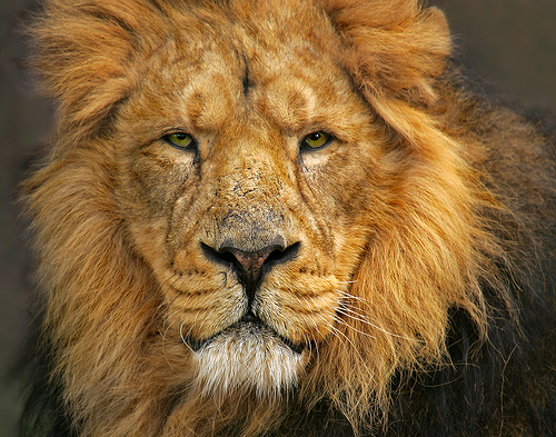 Date this beautiful United States man Vicmai from Bronx US5032