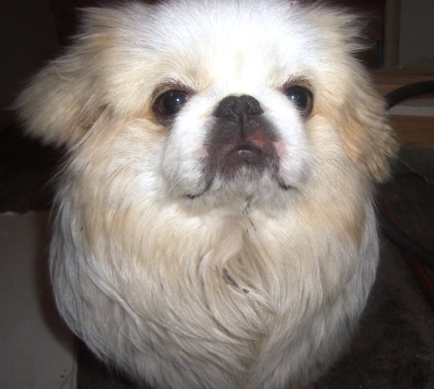 Date this georgeous United States man Hybrid69 from Nowhere US5629