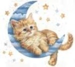 lovely United States man  from Corpus Christi US5780