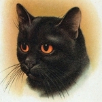 lovely United States man  from Los Angeles US6727