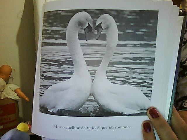 Date this passionate Brazil girl Carlanara from Caldas Novas BR3641