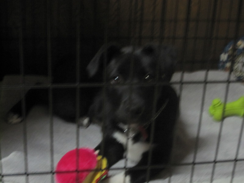 Date this pretty United States girl Flabra from San Diego US9259