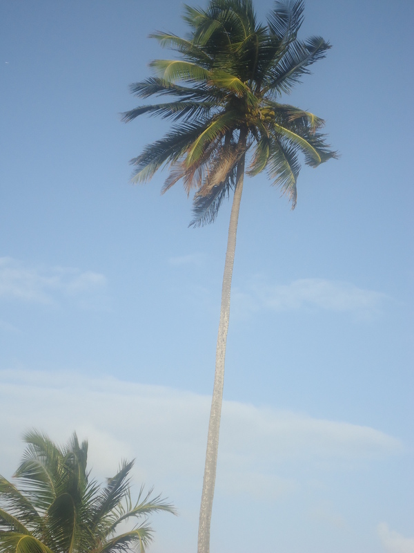 Date this nice looking United States man Leocastro from Boston US11556