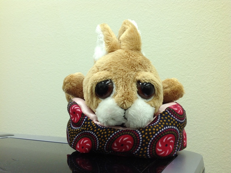 Date this sensual United States man BUSCAR from VIRGINIA BEACH US11888