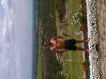 good-looking Colombia man  from Popayan CO9411