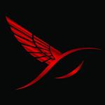 delightful United States man  from Houston US13021