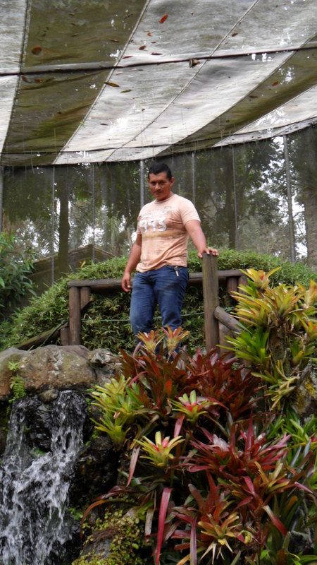 Date this sensual Colombia man Julio sanchez from Cali CO14383