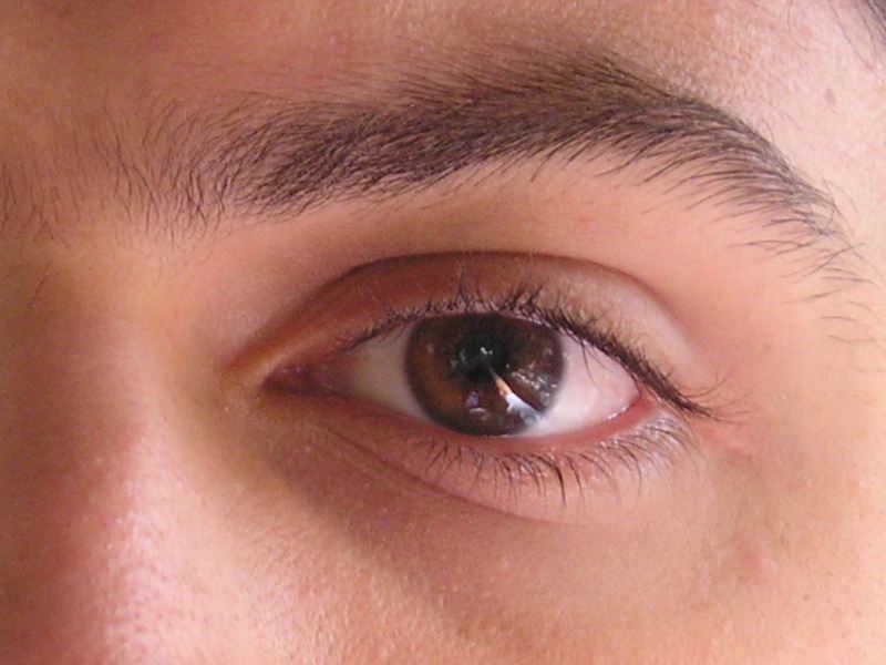 Date this cute United States man Eduardo81b from New York US15748