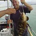 foxy United States man Dana from Reno US17682