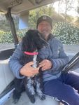 hot United States man George from Sylmar US21535