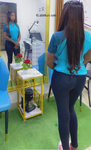 charming Brazil girl Chik1994 from Santo Domingo DO55928